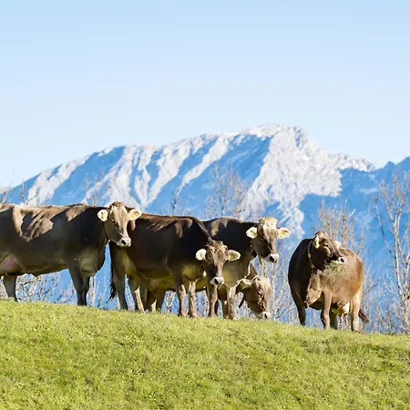 Wagnerhof Pichl bei Aussee