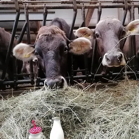 Wagnerhof Farma Pichl bei Aussee