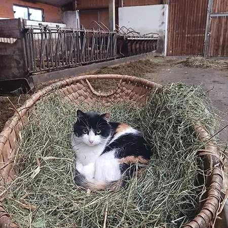 Wagnerhof * Pichl bei Aussee