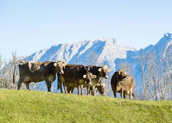 Wagnerhof Pichl bei Aussee