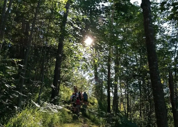 Wagnerhof Gospodarstwo agroturystyczne