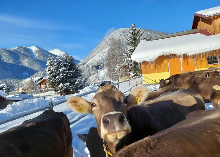 Gospodarstwo agroturystyczne Wagnerhof