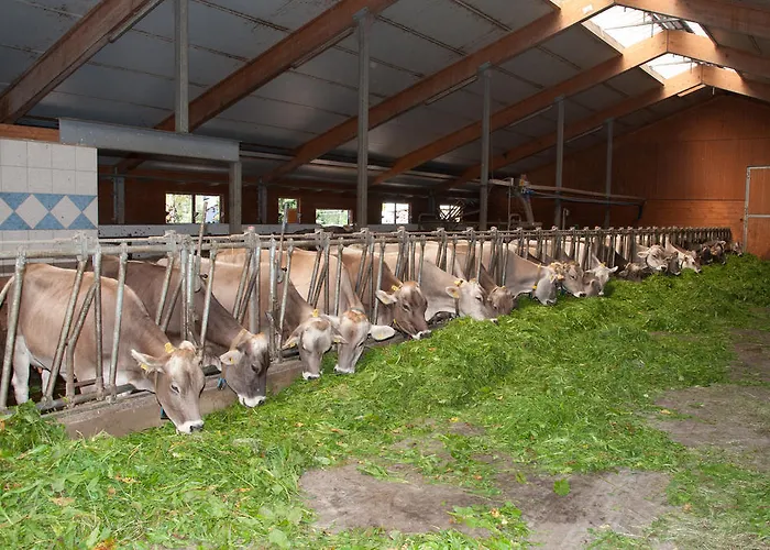 Gospodarstwo agroturystyczne Wagnerhof Pichl bei Aussee